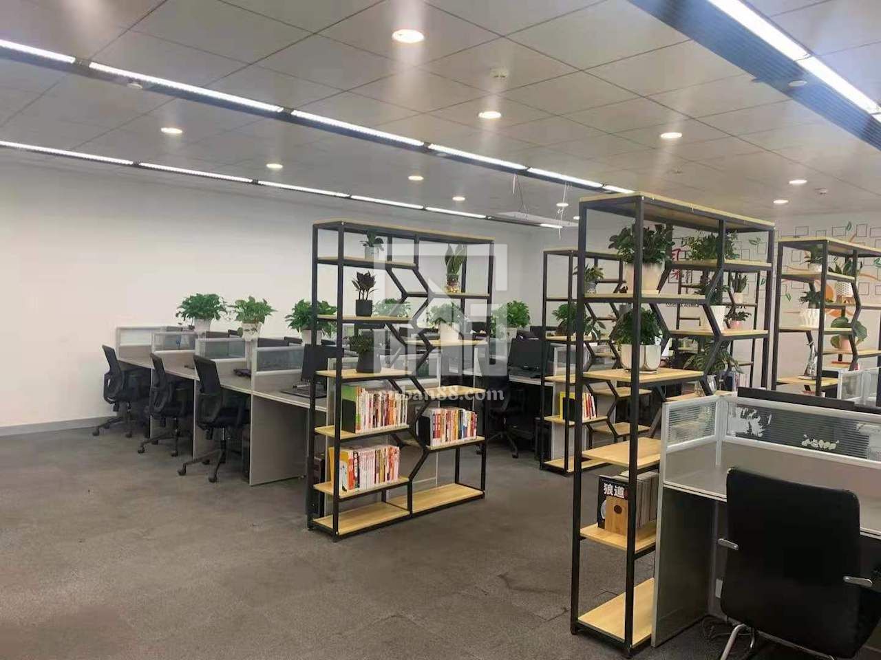 董事匯350平 電梯口 帶全套辦公家具 拎包辦公