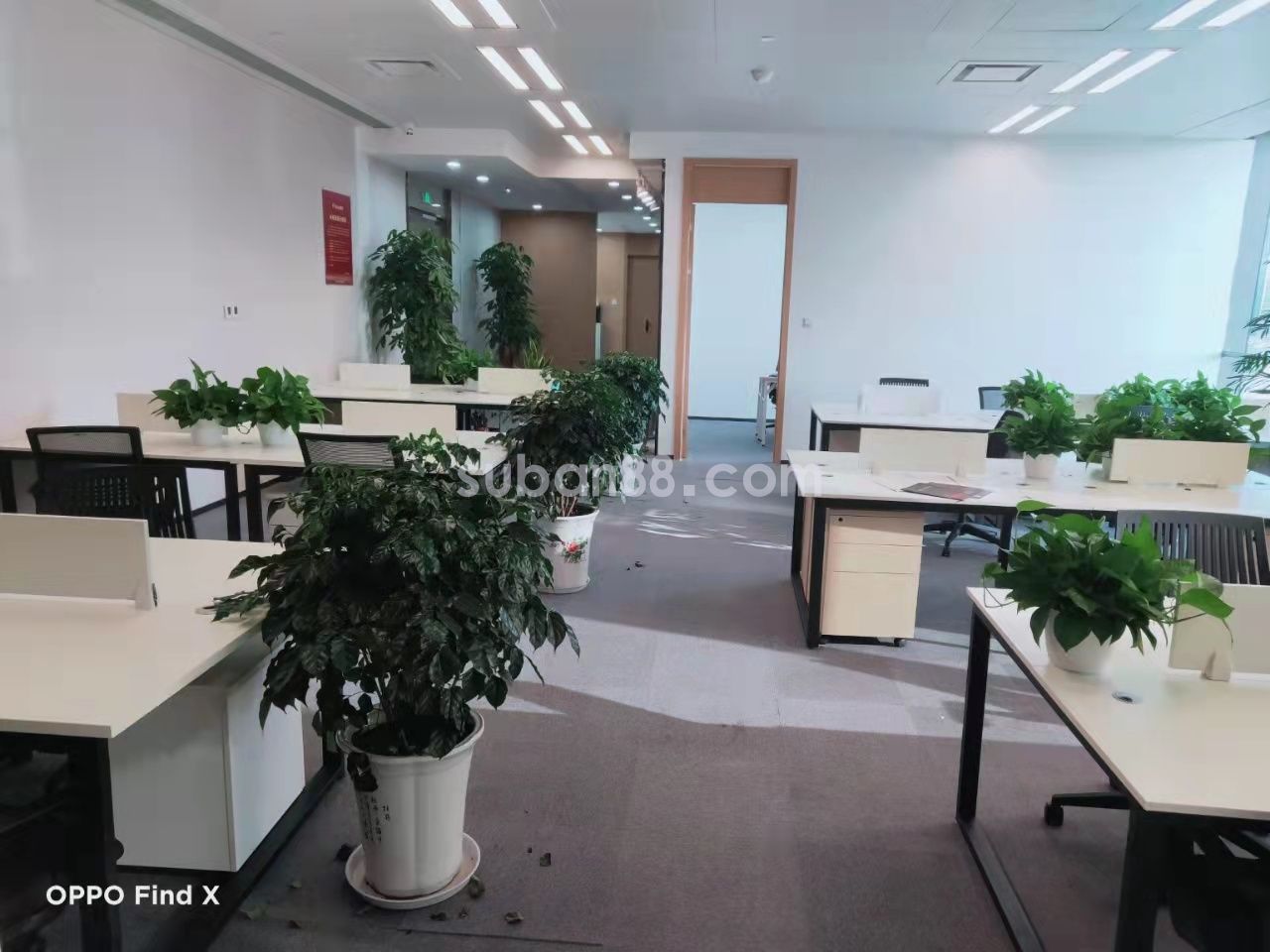 蘇州市 工業(yè)園區(qū) 蘇州中心 湖景房 首次出租