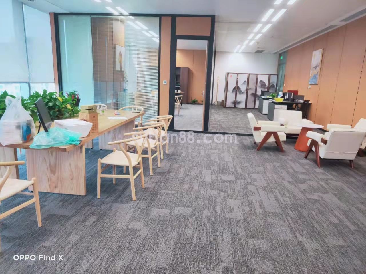 蘇州市工業園區 CBD中心 湖景房 精裝帶家具