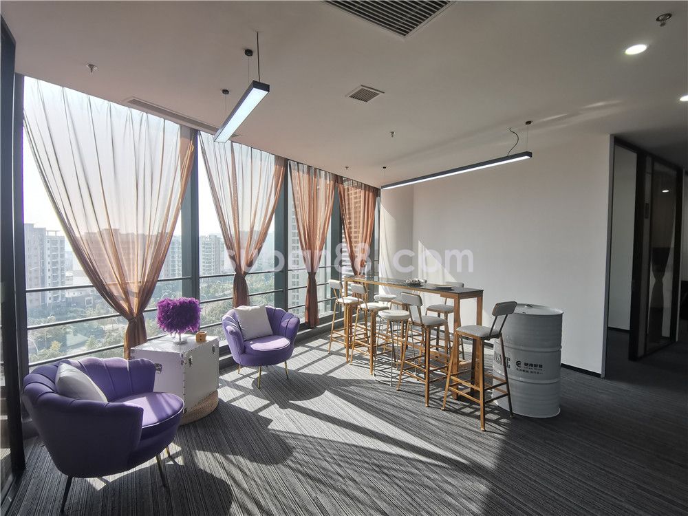 蘇州市高新區(qū)天都大廈 豪裝帶家具