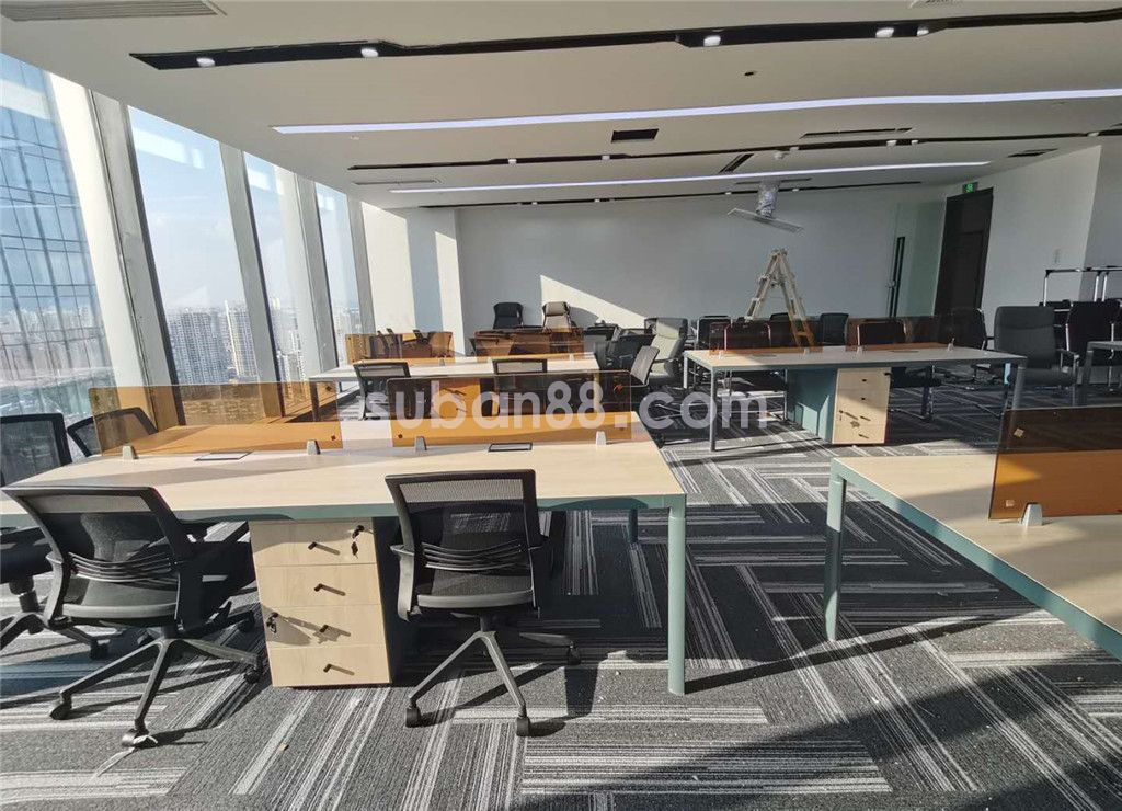 蘇州市工業園區湖東協鑫大廈精裝帶家具