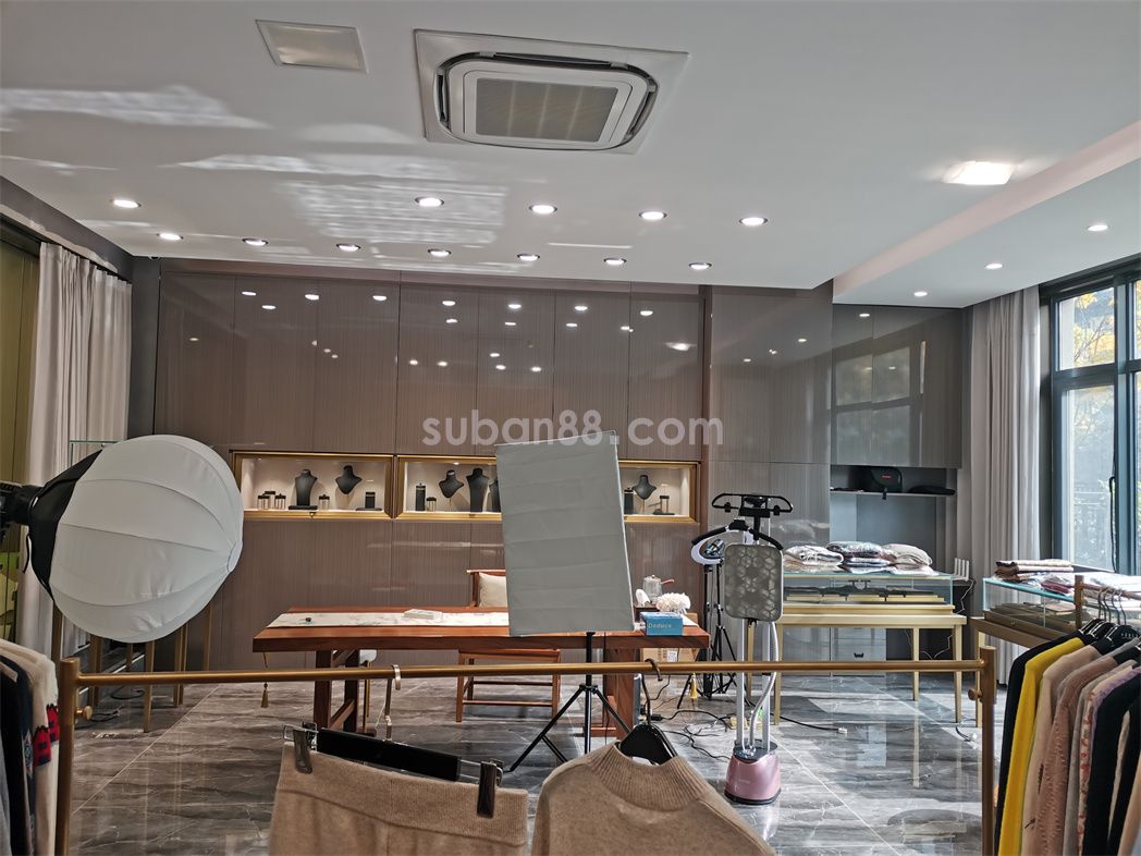 蘇州市工業園區 青劍湖科技城房東直租 精裝獨棟