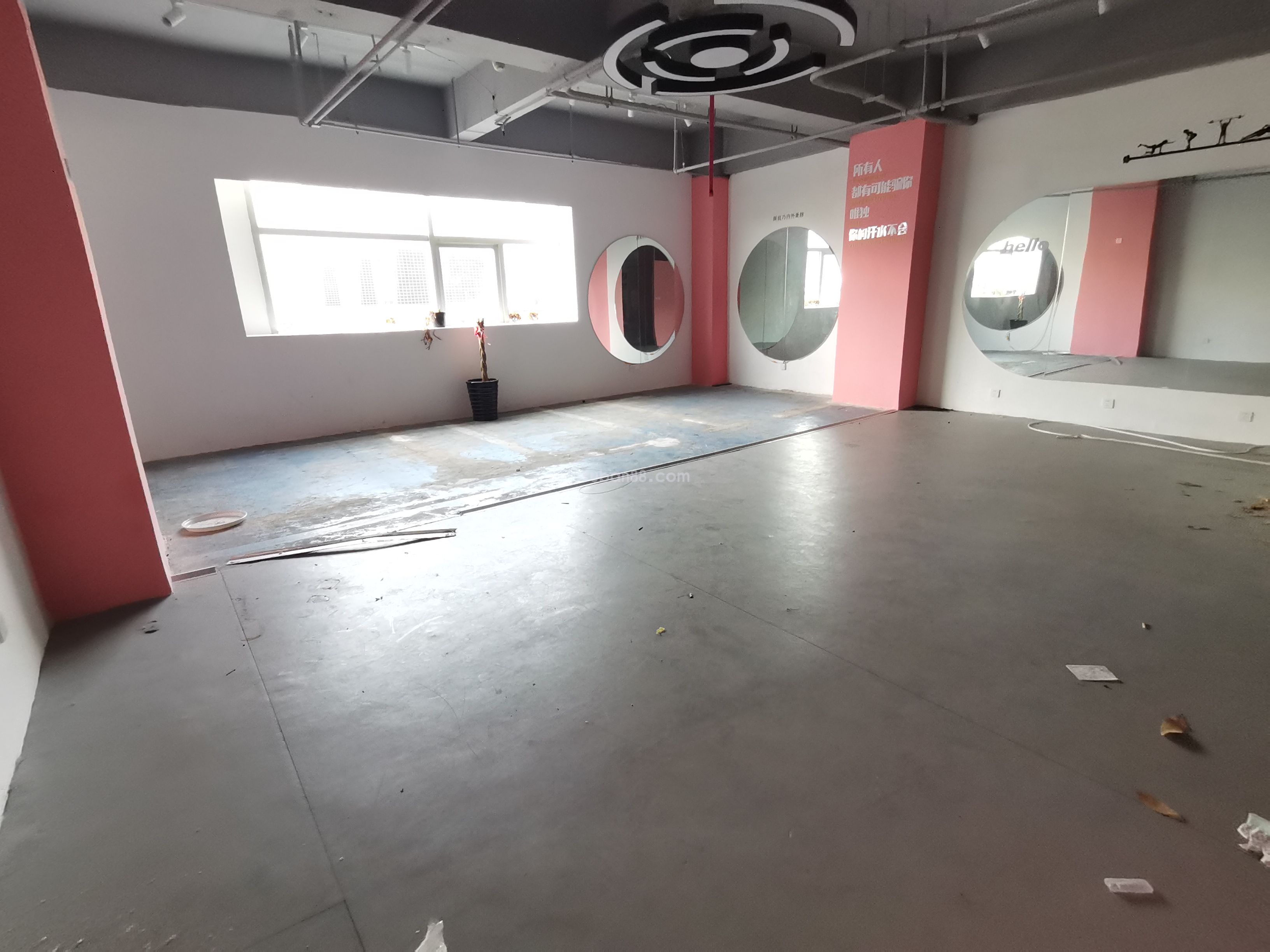 蘇州市工業園區星海國際廣場帶上下水物業直招