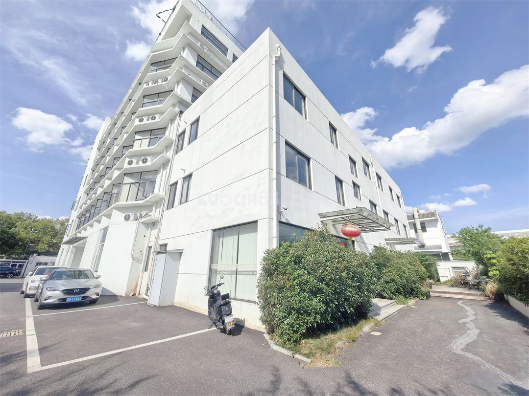 金智谷楊枝一號