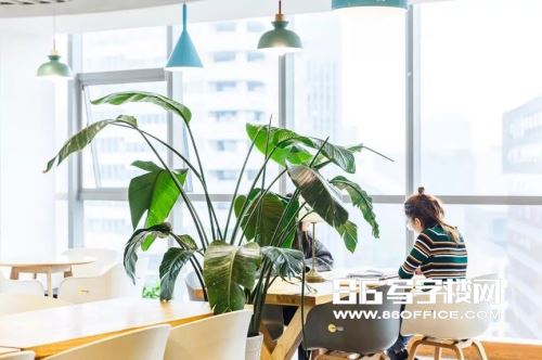 優(yōu)客工場(chǎng)蘇州圓融大廈成立 提升樓宇間辦公效率(圖5)