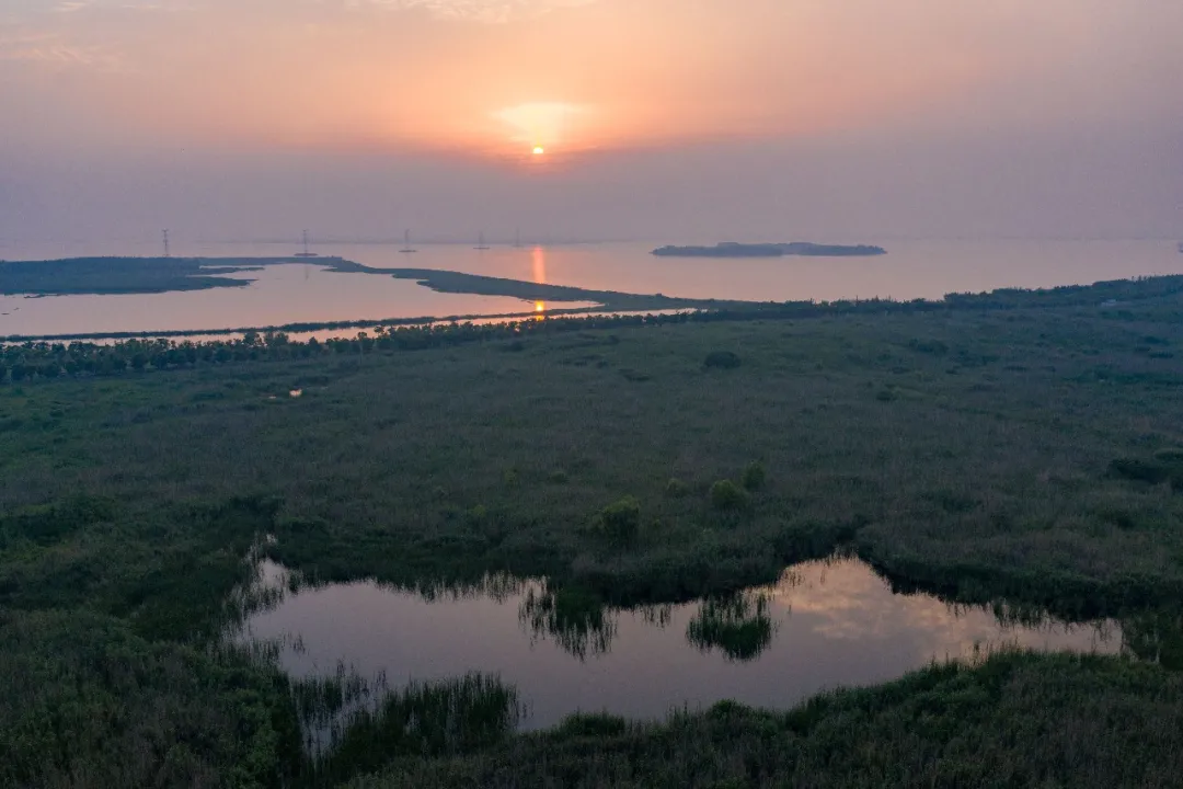 賀美格集團(tuán)喬遷稻谷互聯(lián)網(wǎng)產(chǎn)業(yè)園(圖8)