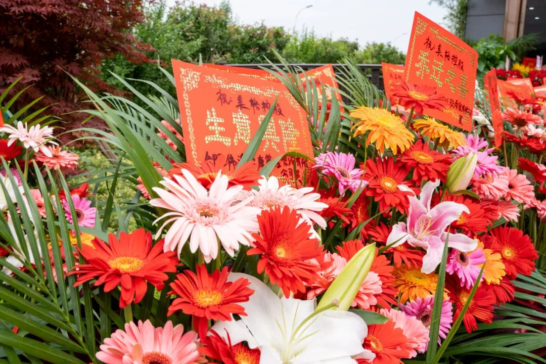 賀美格集團(tuán)喬遷稻谷互聯(lián)網(wǎng)產(chǎn)業(yè)園(圖18)