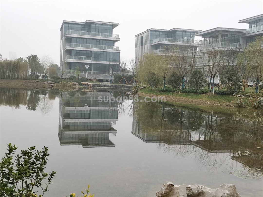 1-220H4154536253.jpg 1-220H4154536253.jpg